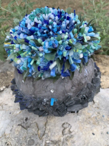 Cactus bleu