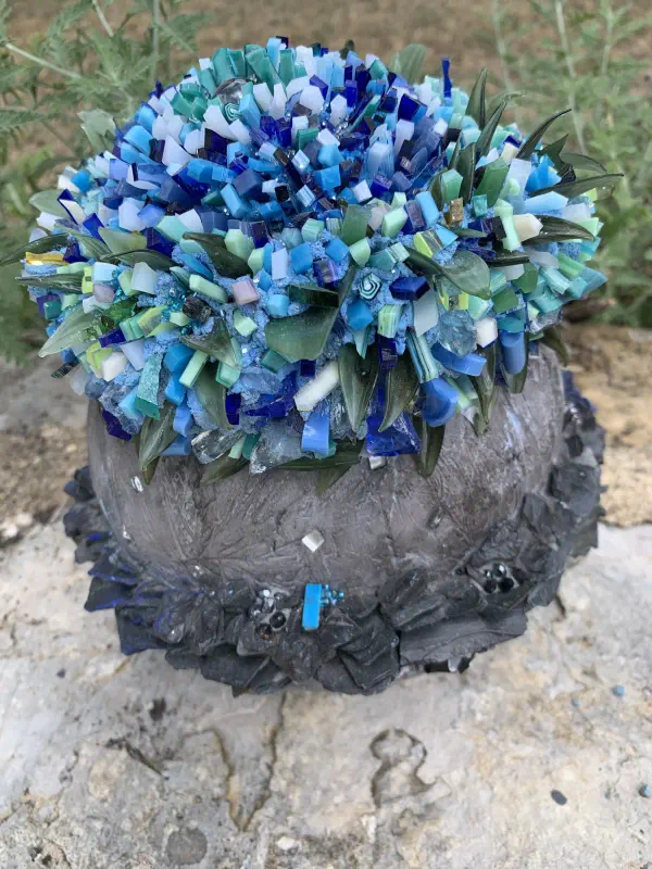 Cactus bleu